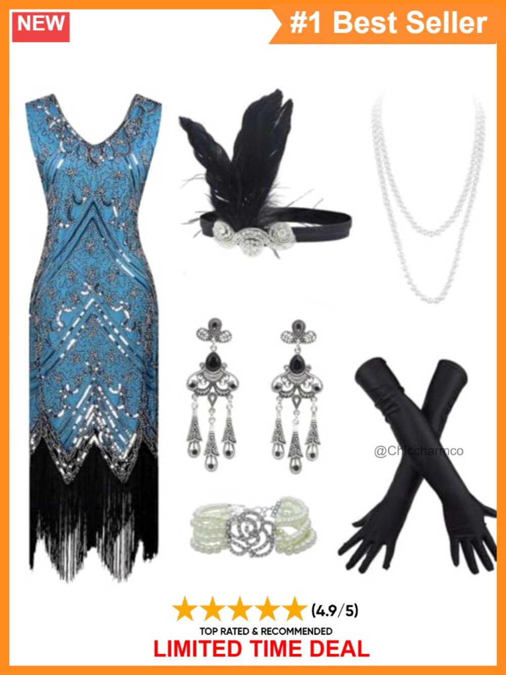 Flapper Sequin Tassel Dress 1920s Gatsby Costume Set with Accessories